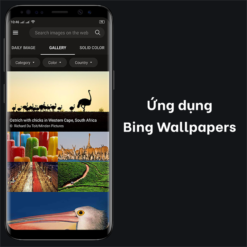 Ứng dụng Bing Wallpapers