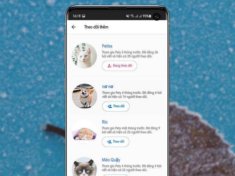 Kết nối cộng đồng người yêu thú cưng