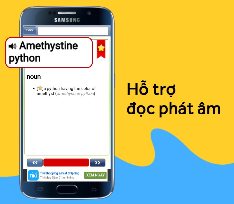 Hỗ trợ đọc phát âm