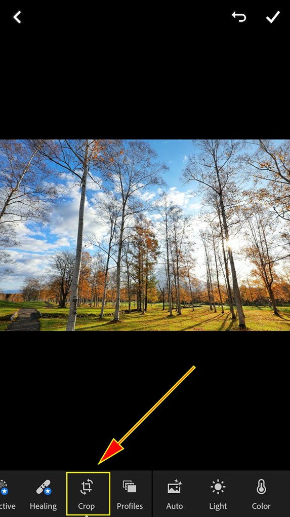 Biểu tượng Crop tr&ecirc;n thanh c&ocirc;ng cụ