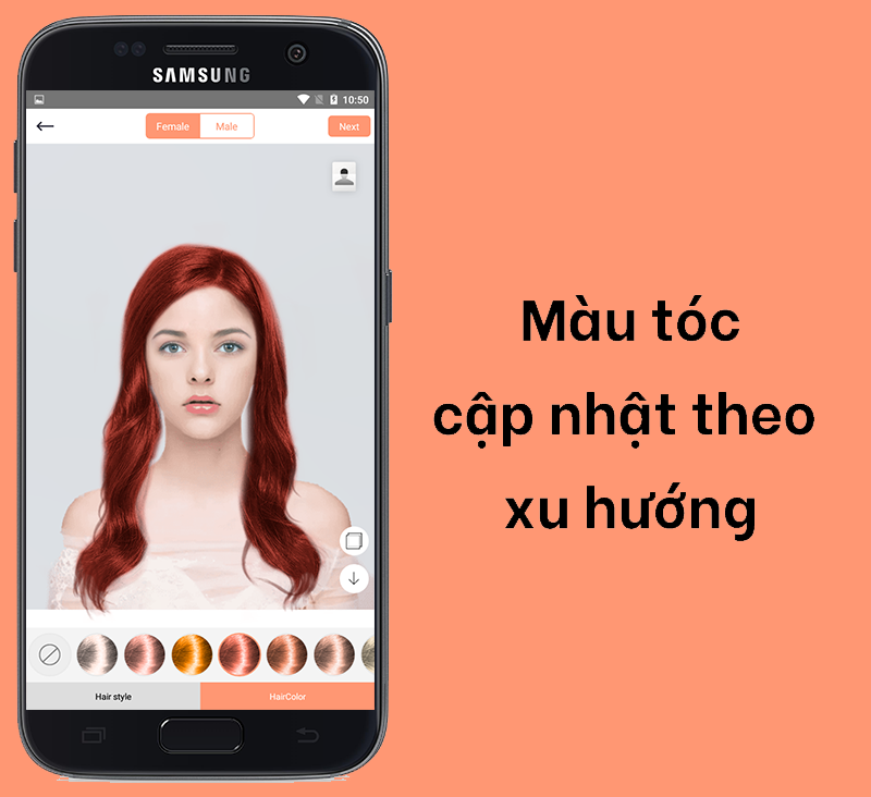 nhiều màu sắc độc đáo theo xu hướng hiện nay