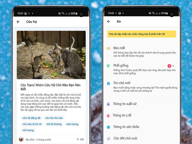 Cứu trợ động vật và báo mất thú cưng