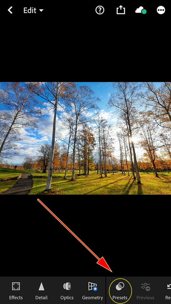 C&ocirc;ng cụ Preset tr&ecirc;n thanh c&ocirc;ng cụ