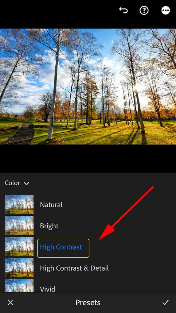 Chế độ tương phản trong mục Color