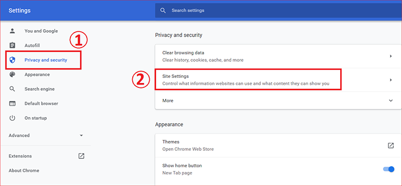 Chọn Site Settings tại mục Privacy and Security