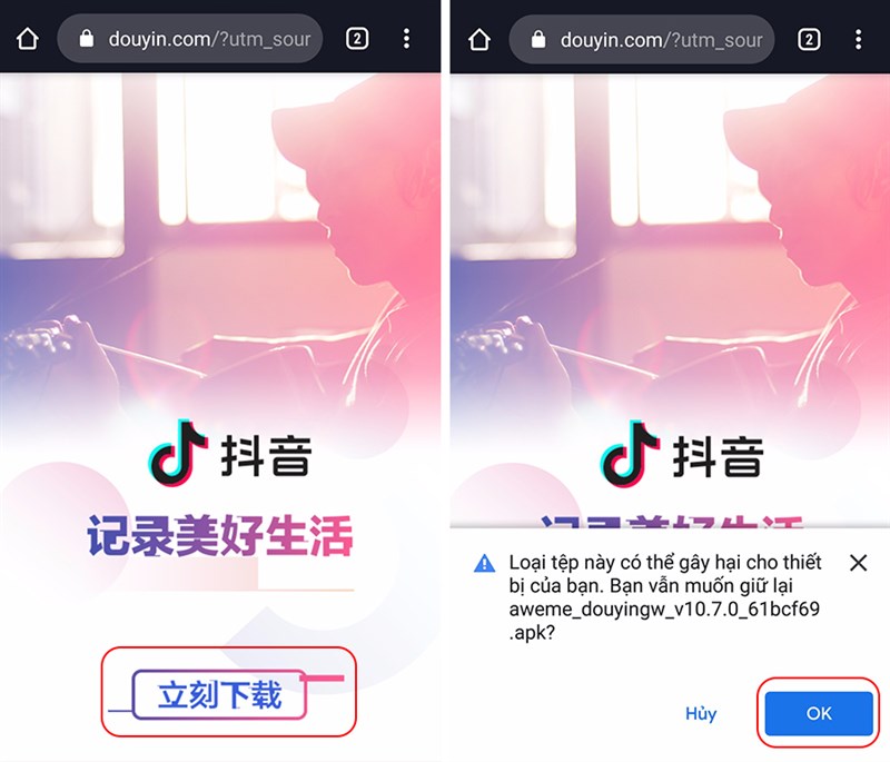 Bước 2: Chọn vào nút tải về trên trang web. Sau đó, nhấn OK để xác nhận tải xuống
