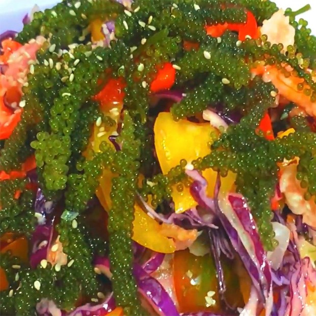 4 cách làm salad rong nho giòn ngon lạ miệng đơn giản dễ làm tại nhà