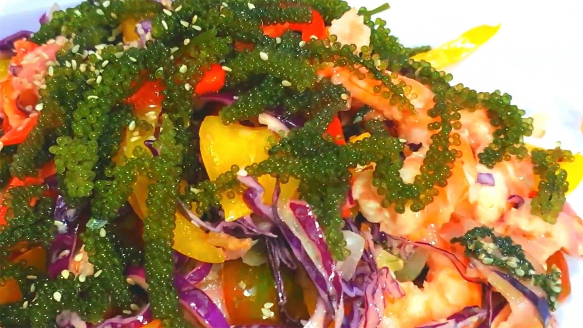 Top 10 hình ảnh salad rong biển đầy màu sắc hấp dẫn nhất để trang trí món ăn