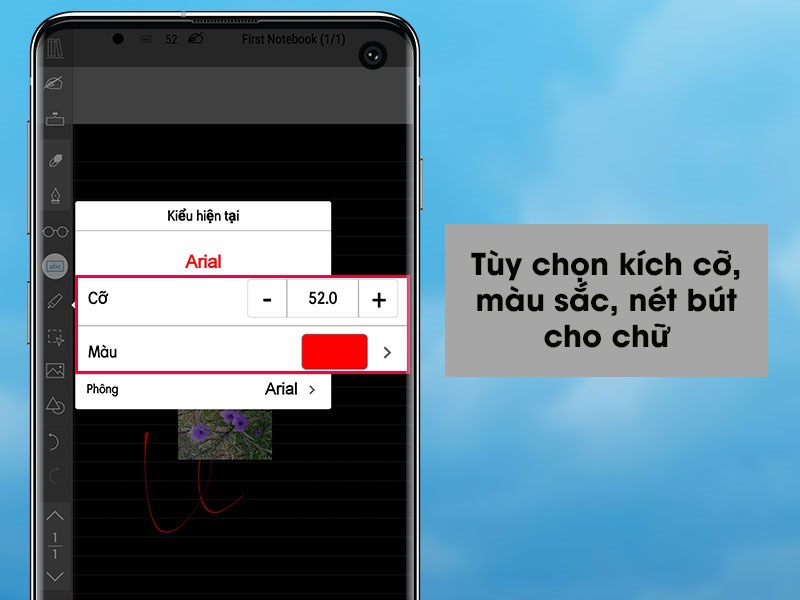 Tùy chọn kích cỡ, màu sắc, nét bút cho chữ