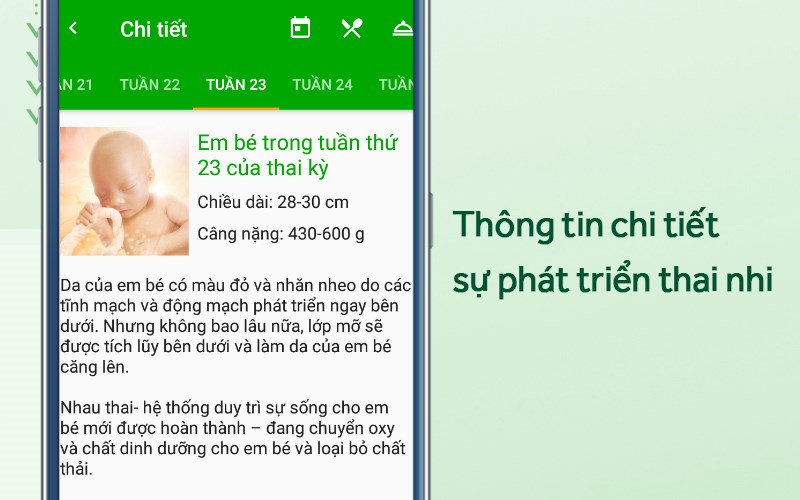 Thông tin chi tiết về thai nhi qua các tuần thai