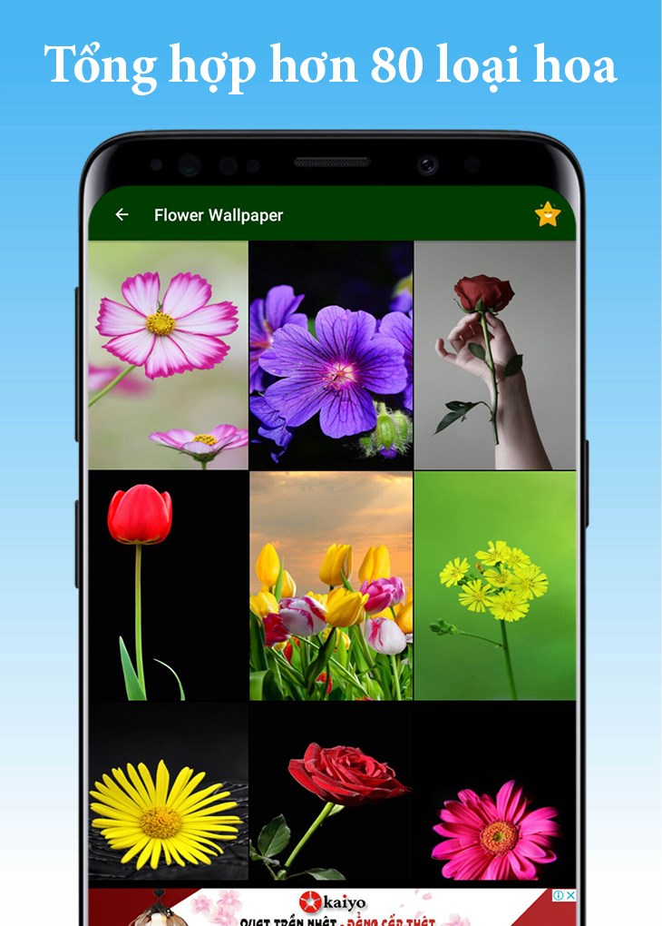 Hơn 80 h&igrave;nh ảnh c&aacute;c loại hoa đẹp