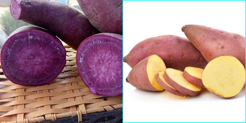 Nguyên vật liệu món ăn trà khoách dẻo