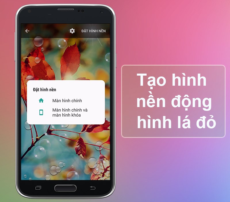 Tạo hình nền động với hình lá đỏ lung linh