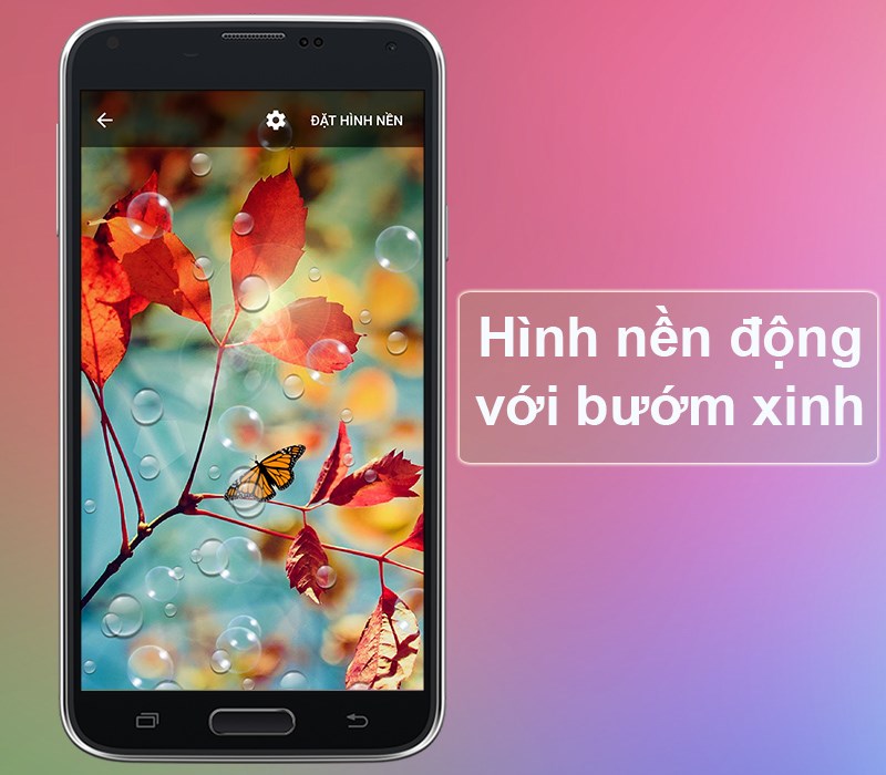 Có thể tùy chỉnh cho hình nền sinh động bằng cách cho xuất hiện các con bướm