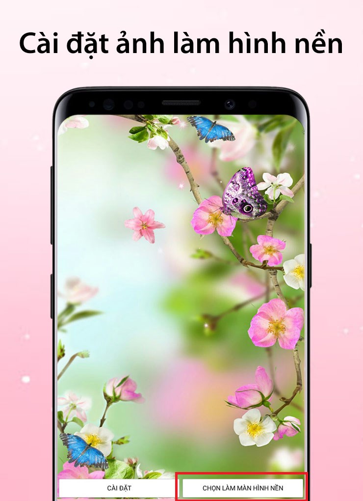 Hình nền hoa điện thoại sẽ mang đến cho bạn một cái nhìn mới và độc đáo cho thiết bị của mình. Với nhiều loại hoa khác nhau, từ những bông hồng sang trọng đến những bông hoa khác, bạn sẽ tìm thấy điều gì đó phù hợp với phong cách của mình và tạo nên sự thu hút cho màn hình điện thoại của mình.