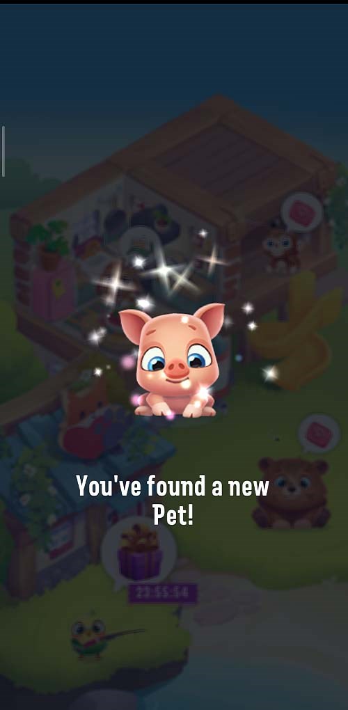 V&ocirc; số th&uacute; cưng đang chờ bạn sở hữu