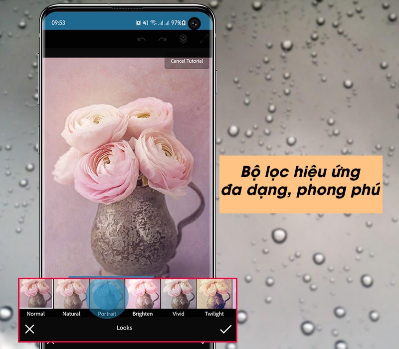 Bộ lọc hiệu ứng (Looks) đa dạng, phong ph&uacute;