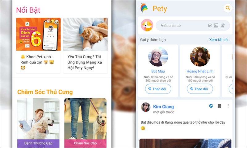 Bắt đầu trải nghiệm Pety