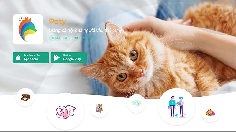 Tạo t&agrave;i khoản cho th&uacute; cưng tr&ecirc;n mạng x&atilde; hội Pety