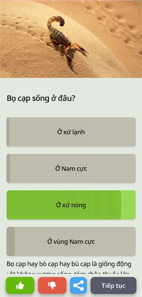 Người chơi cần lựa chọn đáp án chính xác nhất từ 1 trong 4 đáp được đưa ra