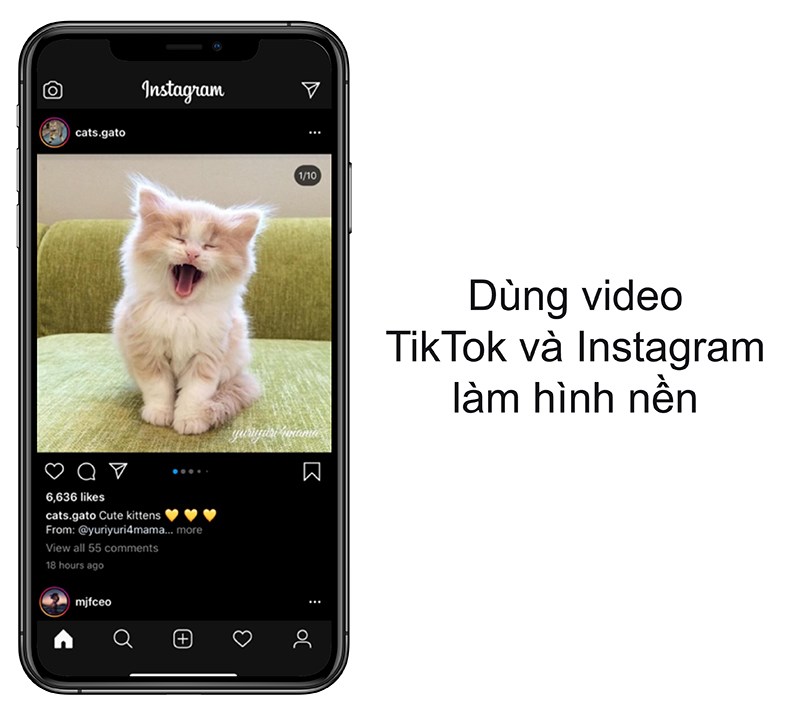 Sử dụng video TikTok và Instagram làm hình nền