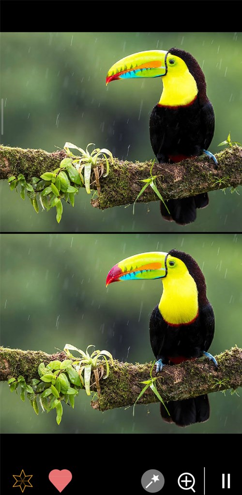 H&igrave;nh ảnh c&oacute; độ sắc n&eacute;t cao 