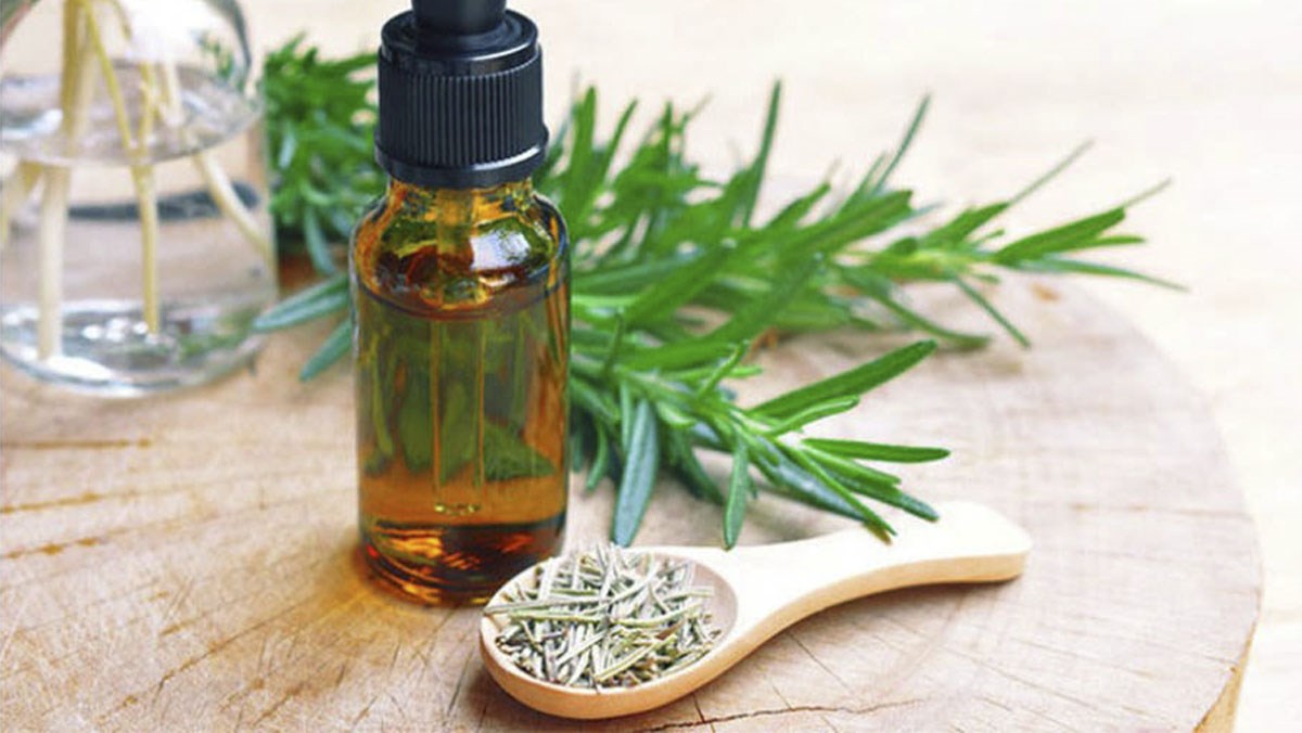 Tinh dầu hương thảo từ hương thảo khô