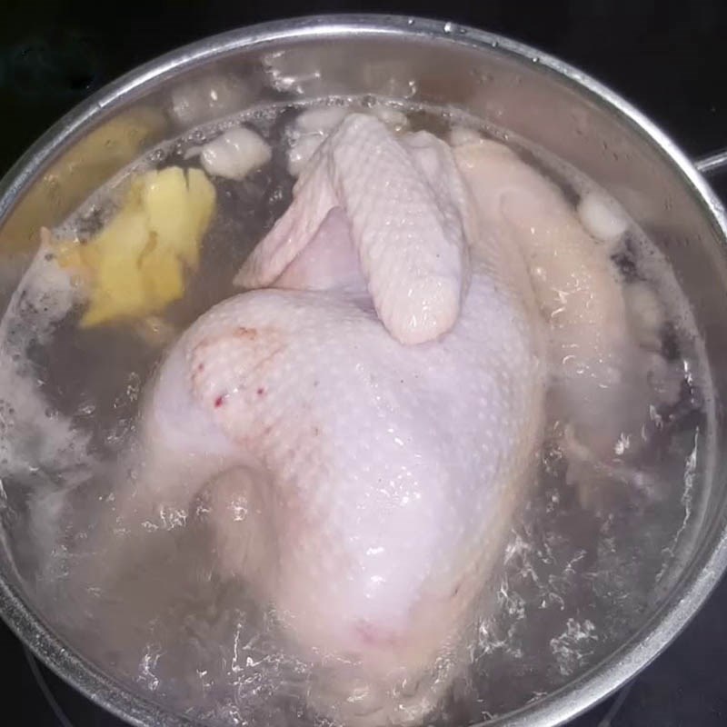 Bước 1 Luộc gà làm phần gà xé Cơm gà Hội An