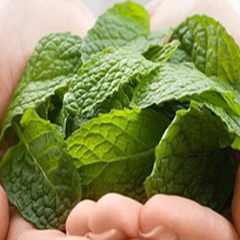 Bước 1 Pha chế Soda bạc hà