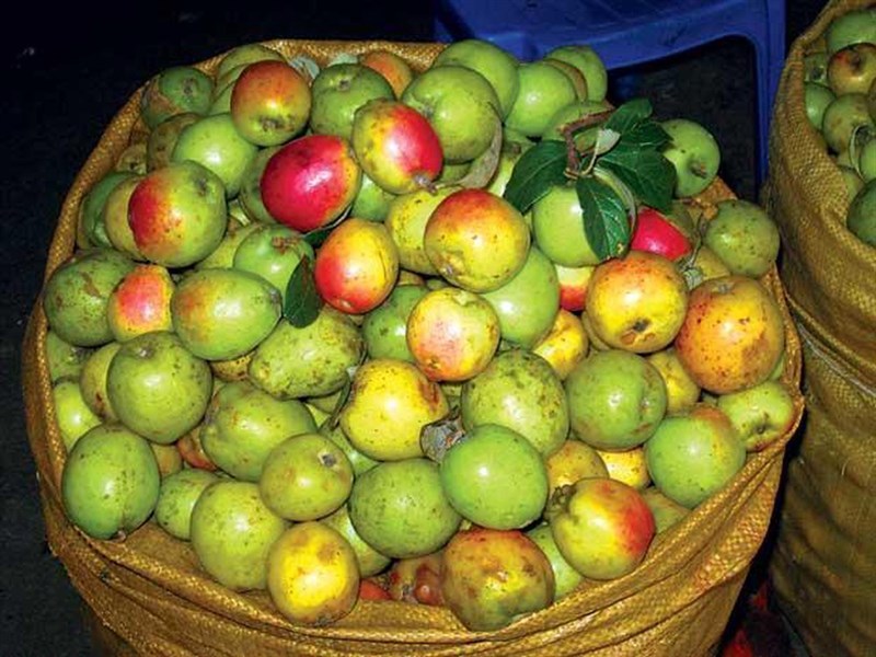 C&aacute;ch chọn t&aacute;o m&egrave;o tươi ngon