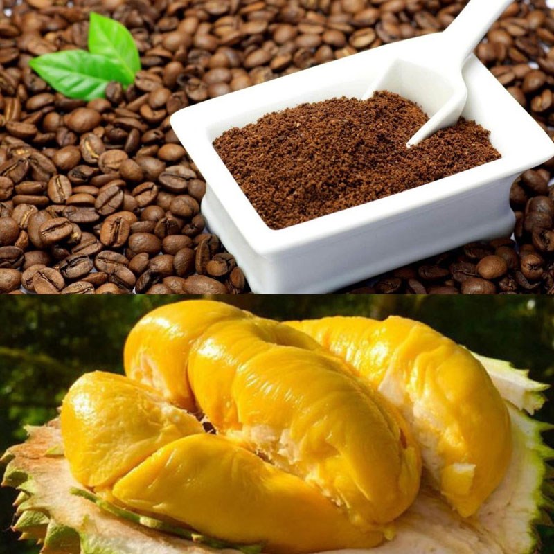 Nguyên liệu cà phê bọt biển sầu riêng
