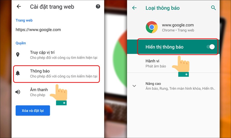 Nhấn vào Trang web > chọn Thông báo > kéo thanh Hiển thị thông báo sang phải