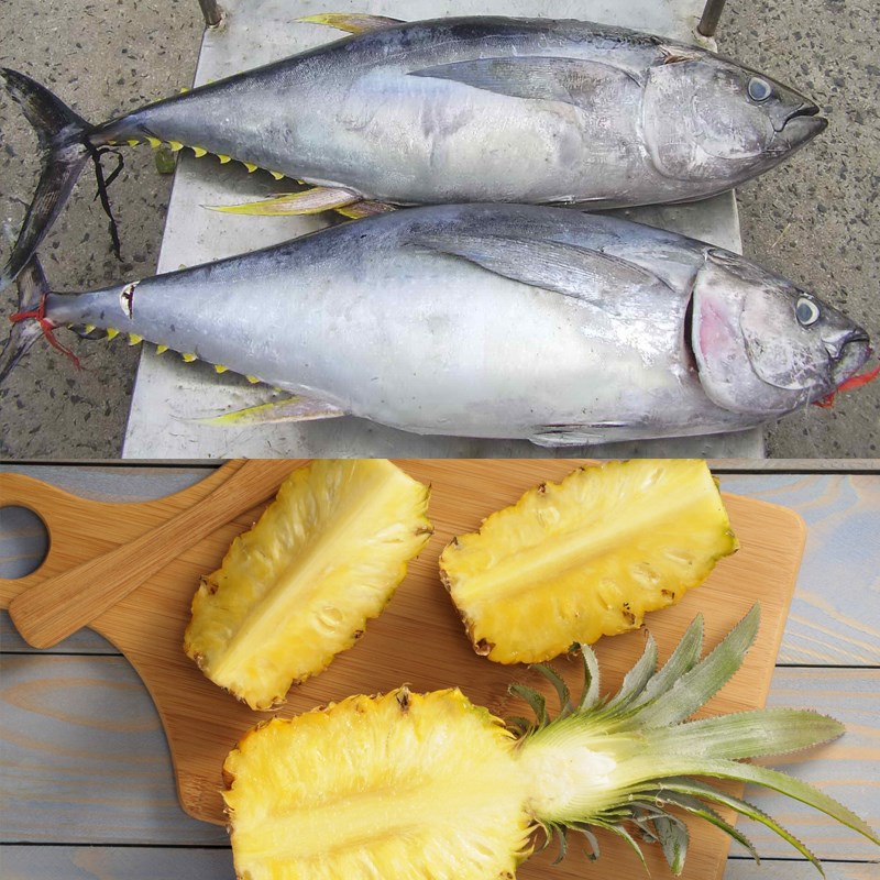 Nguyên liệu món ăn uống 5 biện pháp có tác dụng món cá ngừ kho thơm, nóng quả cà chua, măng, nước dừa, tiêu