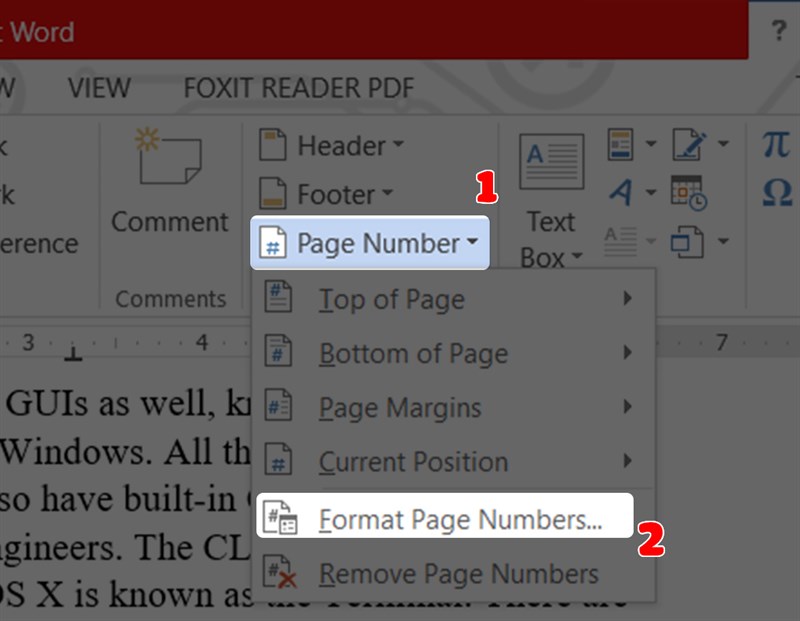 Chọn Format Page Number