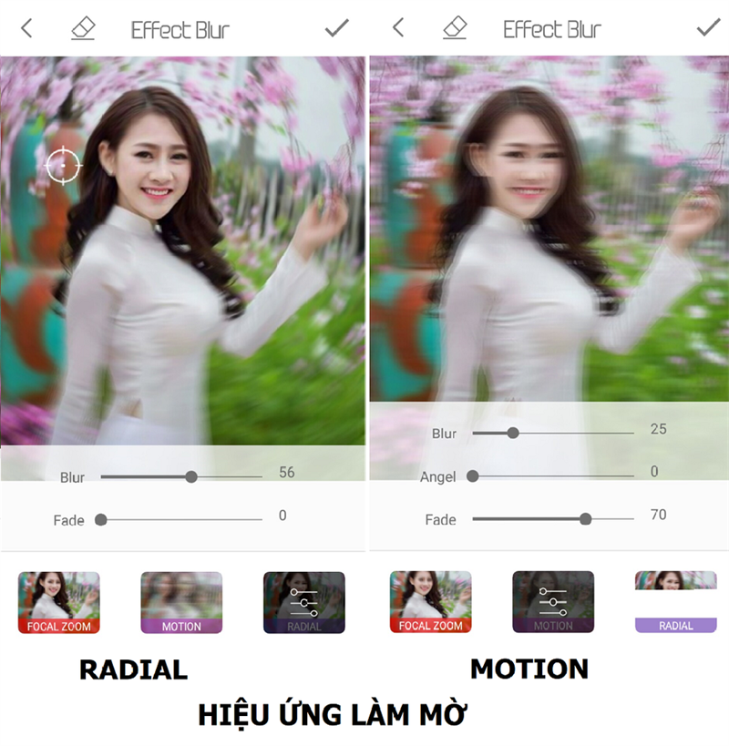 Hiệu ứng đa dạng, độc đ&aacute;o
