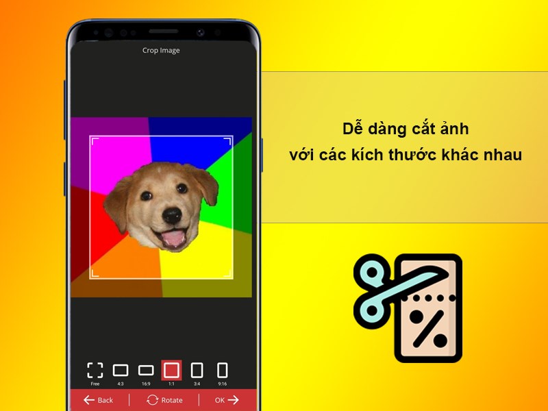 Dễ dàng cắt ảnh với các kích thước khác nhau