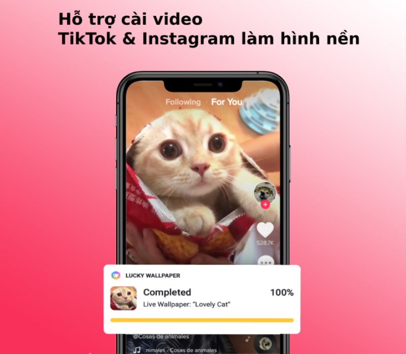 Hỗ trợ cài video TikTok & Instagram làm hình nền