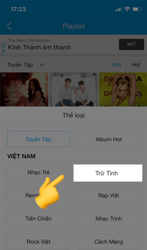  Chọn thể loại nhạc Trữ tình