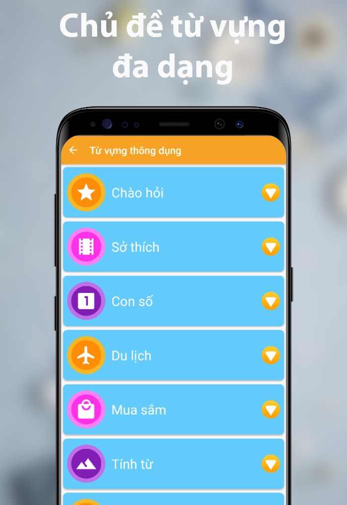 Bộ từ vựng th&ocirc;ng dụng được chia l&agrave;m nhiều chủ đề ri&ecirc;ng