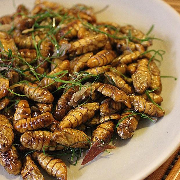 Chinh phục chàng khó tính với ba món ăn cực “ độc”