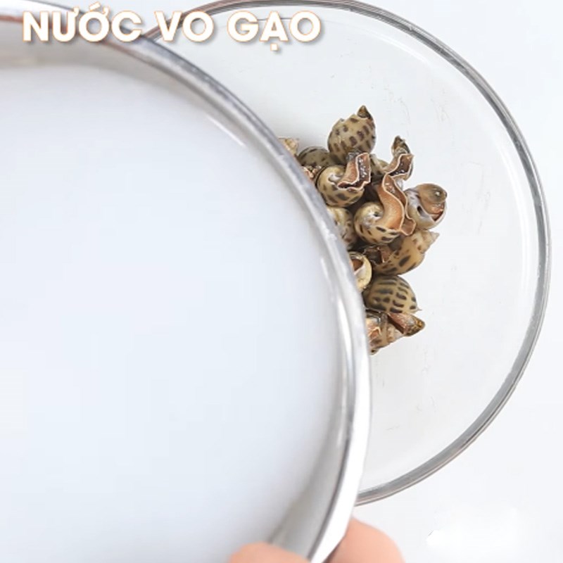 Bước 1 Sơ chế nguyên liệu Ốc hương xào bắp (ngô)