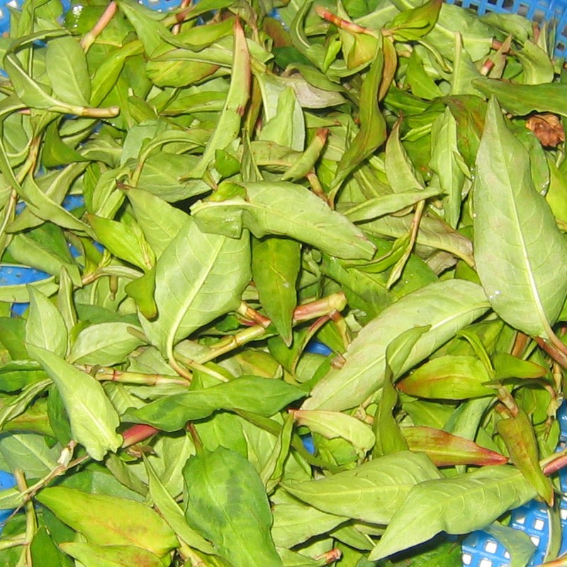 Bước 2 Sơ chế các nguyên liệu khác Ốc móng tay cháy tỏi