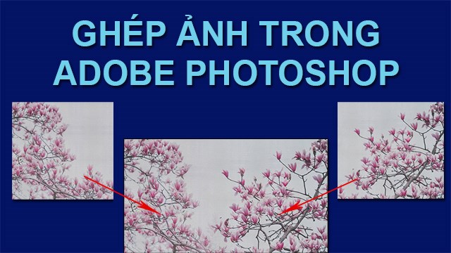 Hướng dẫn Cách ghép ảnh bằng Photoshop Với các bước đơn giản và hiệu quả