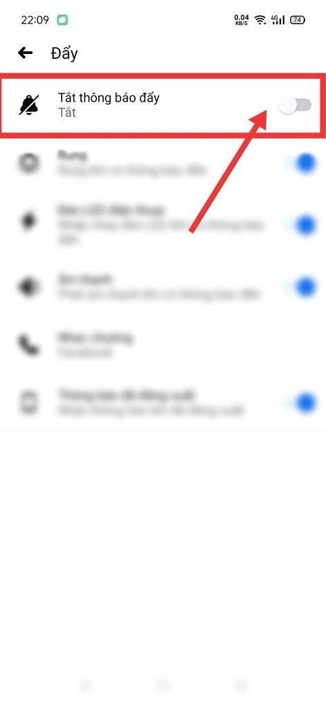 Tại giao diện này bạn cần gạt nút tròn từ phải sang trái để bật thông báo chung cho Facebook.