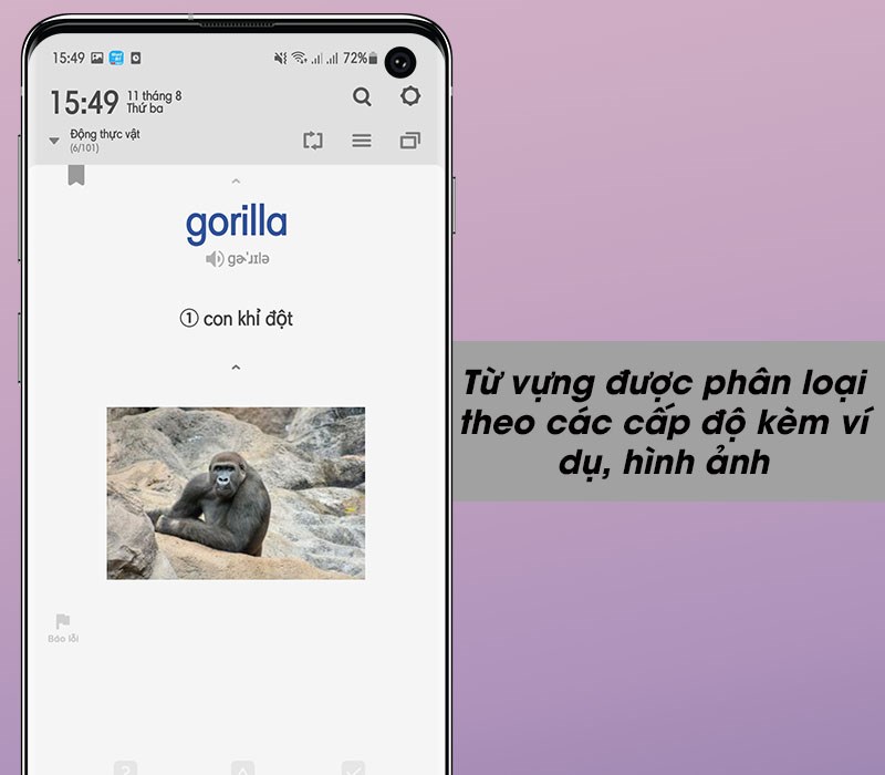 Từ vựng được ph&acirc;n loại theo c&aacute;c cấp độ k&egrave;m v&iacute; dụ, h&igrave;nh ảnh cụ thể
