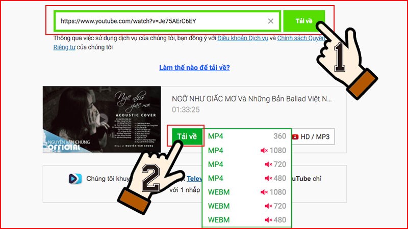 chọn định dạng video muốn tải về và chọn tải về.