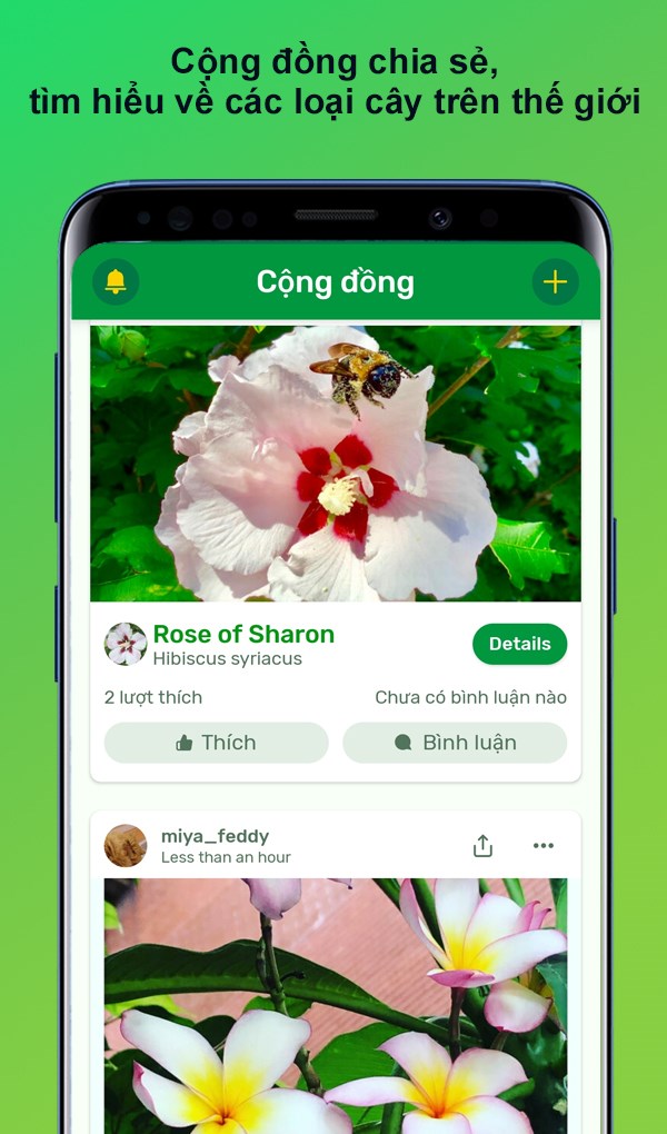 Cộng đồng chia sẻ, tìm hiểu về các loại cây trên thế giới