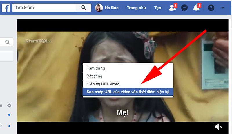 Lấy địa chỉ URL của video tr&ecirc;n facebook&nbsp;
