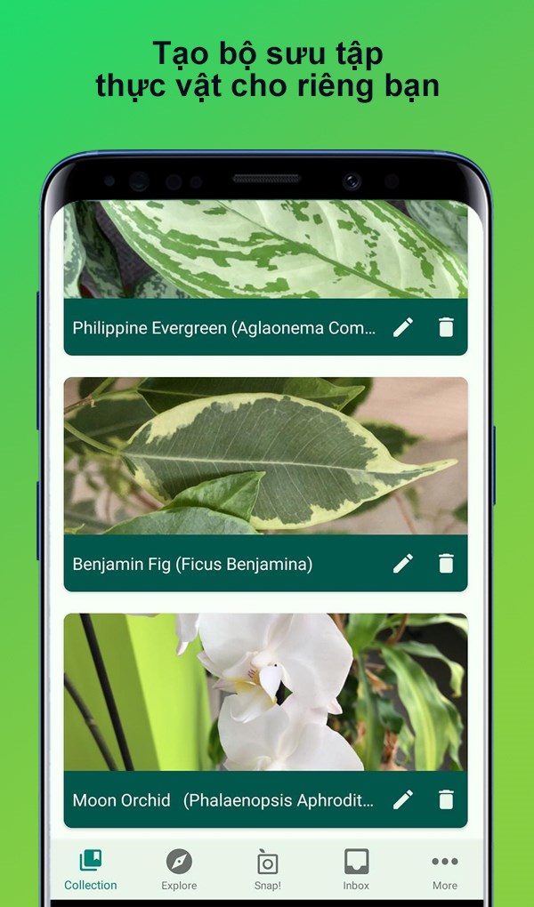 Tạo bộ sưu tập thực vật cho riêng bạn