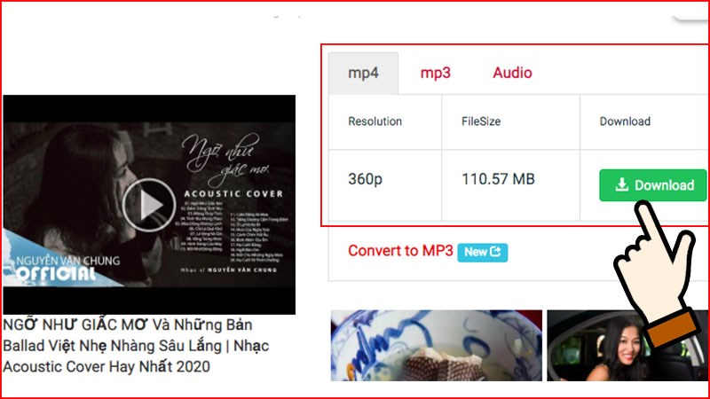 Chọn định dạng Video muốn tải và chọn Dowload.